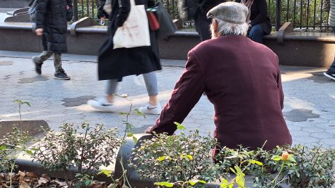 Más de 6 millones en el país viven con esta enfermedad, los latinos tienen un 50% más probabilidades que los no hispanos de desarrollarla