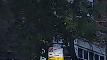 La Gran Manzana dispone de la red de apoyo a los adultos mayores más grande del país.