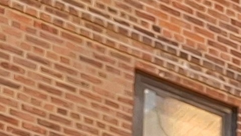 A la puertorriqueña María Nieves le parece justo que aumente la inversión en "levantar" la vivienda pública de NYC.