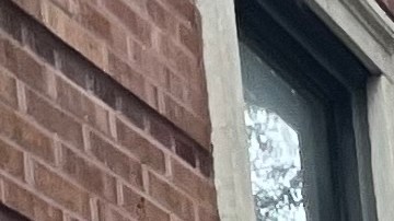 La crisis de vivienda en la Gran Manzana es una de las principales preocupaciones de los neoyorquinos