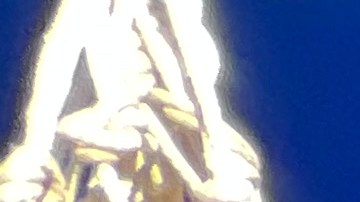 Regresan vendedores de comida y artículos a Corona Plaza pero con reglas estrictas y presencia limitada