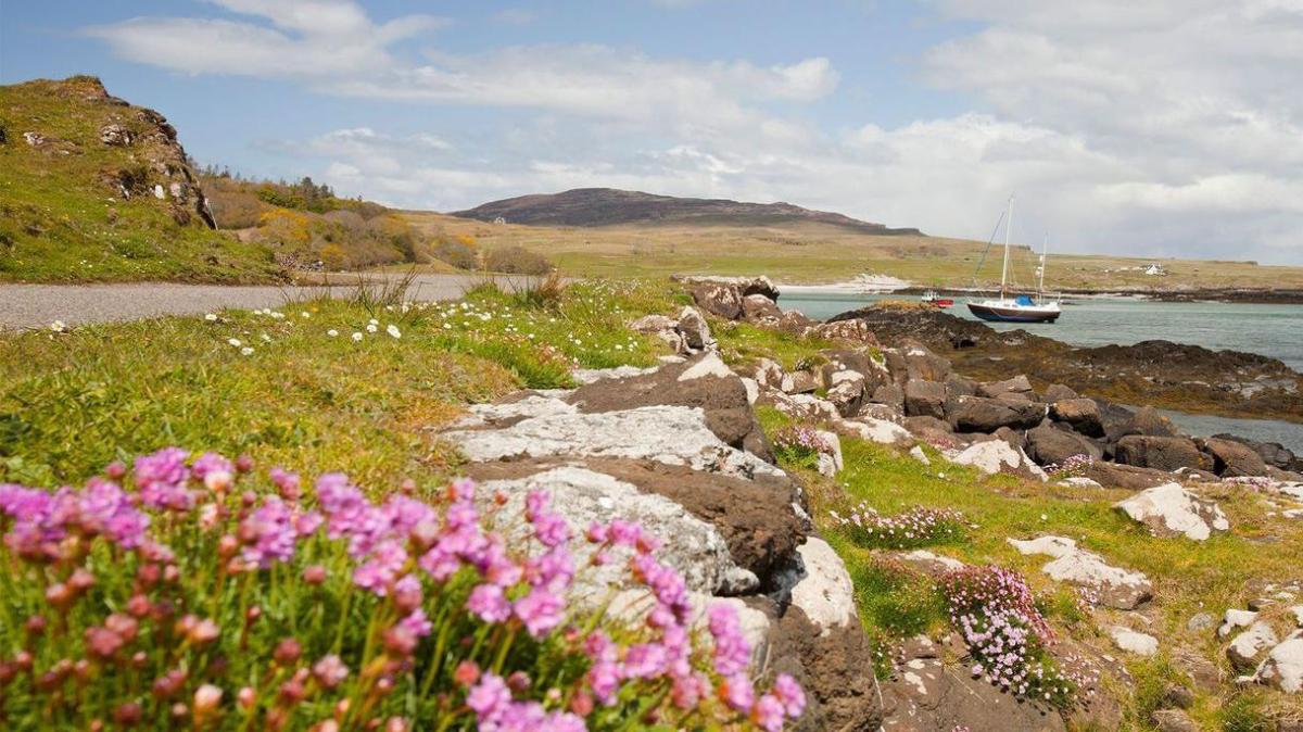 Eigg, the island in Scotland that was bought by its inhabitants and is an example of sustainable living – El Diario NY