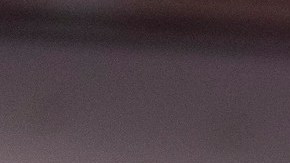 La concejal Julie Menin, quien impulsó la legislación, asegura que se termina una historia de "castigos onerosos" a los dueños de establecimientos.