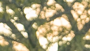 En el distrito de Brownsville en Brooklyn la incidencia armada bajó en un 70%.