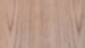 La gobernadora Kathy Hochul durante el anuncio de la nueva ley para proteger a los dueños de vivienda.