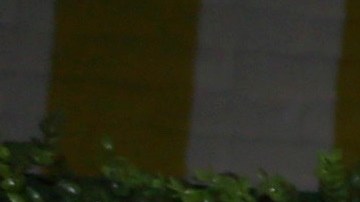 Elizabeth Gutiérrez junto a su pareja sentimental William Levy.