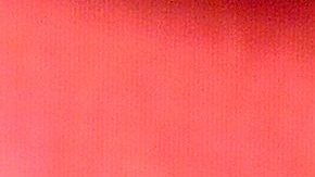 En la imagen aparece el cantante boricua, Chayanne.