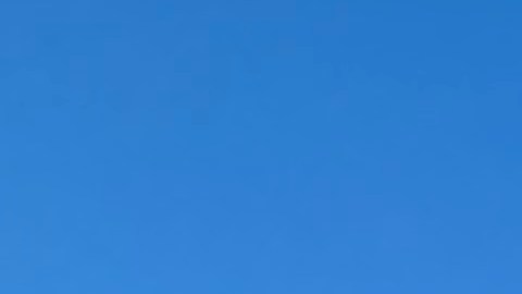 El Bronx es el condado con mayores casos de diabetes en la Gran Manzana