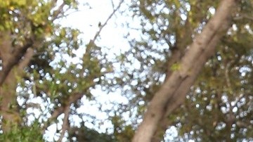 La presentadora Francisca junto a su esposo Francesco Zampogna.