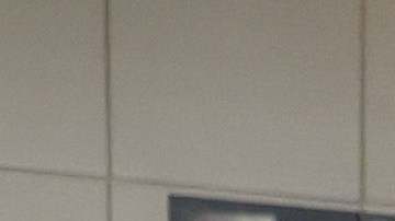 Las personas suelen disfrutar de estas fechas en compañía de sus seres queridos.