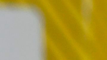 Federación Ecuatoriana no olvida el 'Caso Byron Castillo' y espera dar una "lección" a Chile en Quito