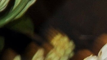 Ximena Navarrete se coronó en Miss Universo 2010