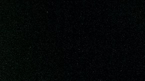 Las familias dijeron que estaban "devastadas por la horrible noticia".