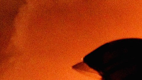 Los bomberos pudieron sacar a todos y socorrer a varios residentes.