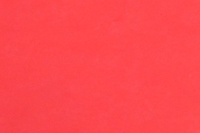 Gael García y Diego Luna desfilando por una alfombra roja.