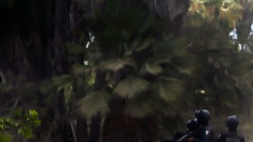 "El Nini" fue detenido en Culiacán.