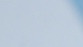 La actriz Shannen Doherty