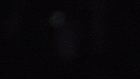 Luis Miguel es requerido para diversos shows privados.