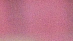 Jeaustin Campos exentrenador del Saprissa.