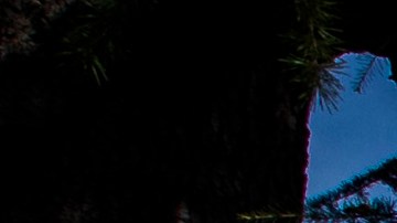 Stanford University Cancels On-Campus Classes After Faculty Member Tests Positive For Coronavirus