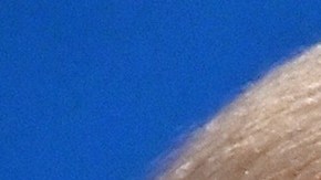 La mayoría de los estadounidenses ve a los republicanos más fiables que a los demócratas, según sondeo