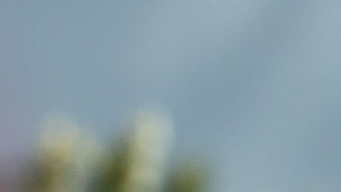 McSally ya había denunciado en 2018 y 2019 que había sido víctima de abuso sexual.