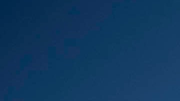 Fisher dijo que Trump, a diferencia de los demócratas, no sigue políticas racistas.