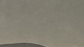 Especies phoenicoparrus jamesi en el sur de América.