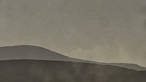 Especies phoenicoparrus jamesi en el sur de América.