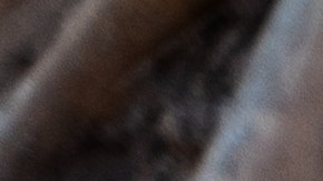 El pozo contenía la asombrosa cantidad de 6,770 huesos antiguos de 52 animales diferentes