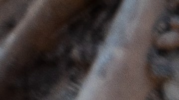 El pozo contenía la asombrosa cantidad de 6,770 huesos antiguos de 52 animales diferentes