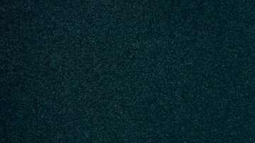 Imagen de una orca asesina en Noruega.