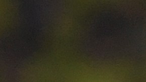 Secuestro del papá de Luis Díaz fue “un error”, según reconoció el jefe máximo del ELN