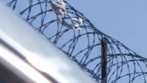 La agencia seguirá “reforzando todos los recursos disponibles para procesar a los migrantes de forma expedita y segura”.