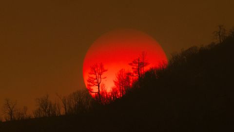 El calor está rompiendo algunos récords en varias partes del mundo.