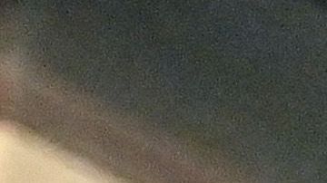 Floyd Mayweather, en entrenamiento.