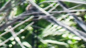 La policía de Filipinas llegó al lugar del incidente.