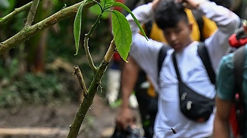 Funcionarios de EE.UU trabajarán en Panamá con autoridades en procesamiento de solicitudes de migrantes