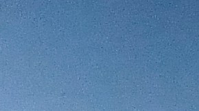 Marcelo Gallardo, entrenador argentino.