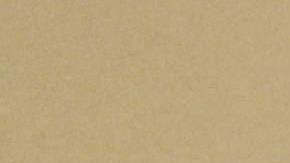 El jefe del partido Rusia Justa por la Verdad, Sergei Mironov, asiste a una reunión con el presidente ruso.