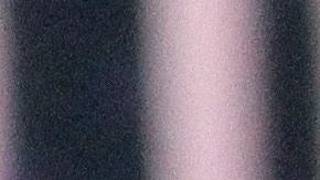 José Reynoso junto a Saúl "Canelo" Álvarez.