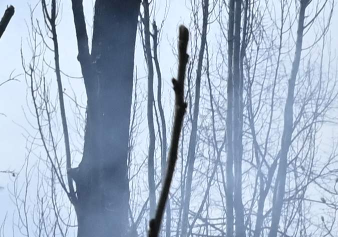 Destrucción en la ciudad ucraniana de Avdiivka.