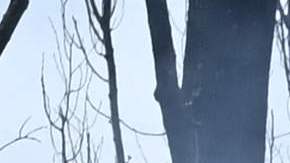 Destrucción en la ciudad ucraniana de Avdiivka.