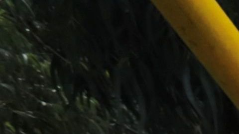 Defensa Civil de Colombia busca a tres mineros que aún están atrapados en la mina de carbón Plan de Armas.