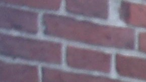 La carta abierta describe varios pasos para abordar el antisemitismo en Harvard.