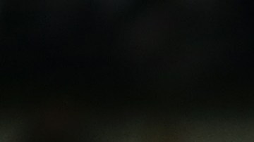 Jugadores del Alianza Lima.