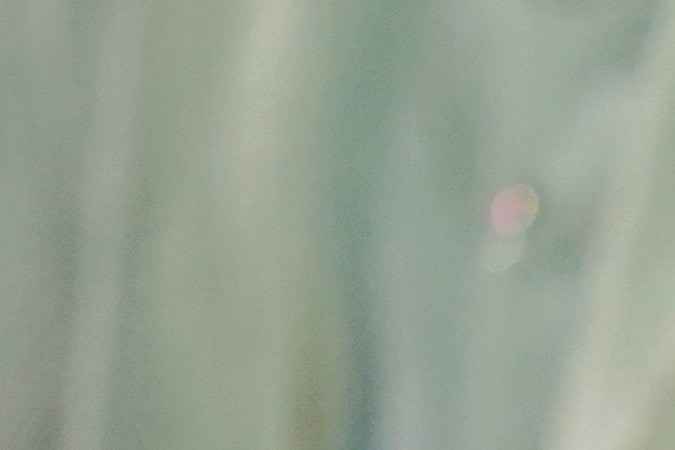 Ricardo Montaner actuando en un show en vivo.