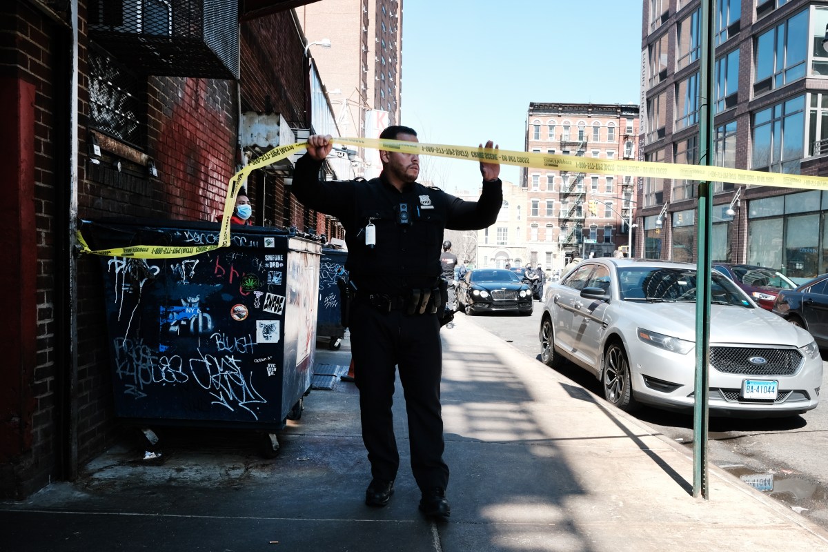 Bronx Assault: NYPD Captures Hispanic Suspect