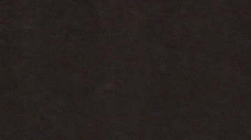 Megan Fox y Machine Gun Kelly.