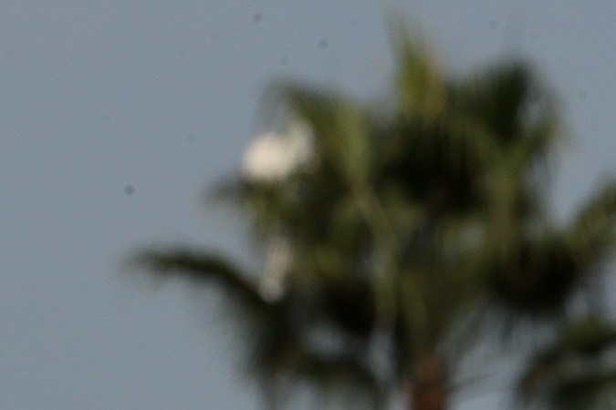 Fotografía de Britney Spears usada en las protestas para su liberación de la tutela de su padre.